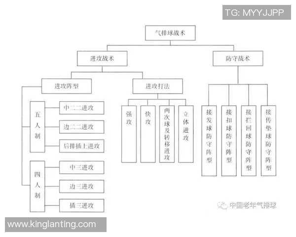 广州排球队比赛经验深度解析与战术探讨