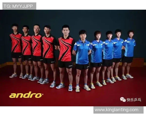赛后分析：北京乒乓球队与武汉乒乓球队的耐力较量与战术探讨