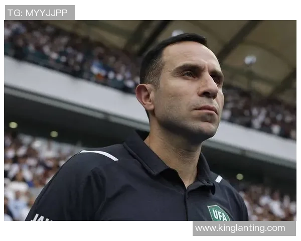 足球明星为何选择加入中国国籍背后的故事与影响分析